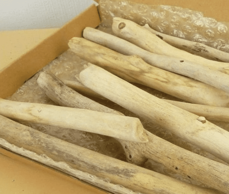 Natural Driftwood Craft Kit - Unleash Your Beachy Creativity